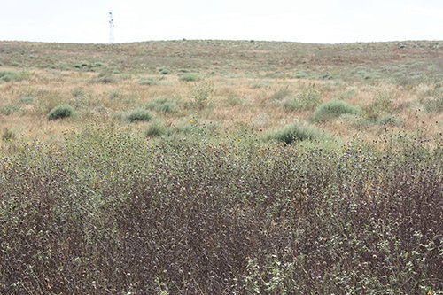 Property photo 110 - LAND AUCTION, 3255+/- Acres offered in 13 Tracts